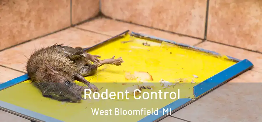 Rodent Control West Bloomfield-MI