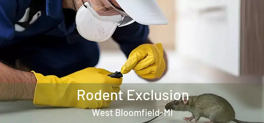 Rodent Exclusion West Bloomfield-MI