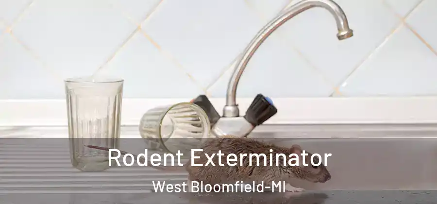  Rodent Exterminator West Bloomfield-MI