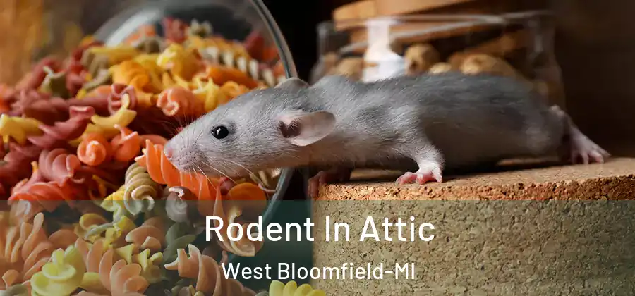 Rodent In Attic West Bloomfield-MI
