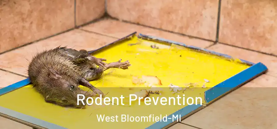 Rodent Prevention West Bloomfield-MI