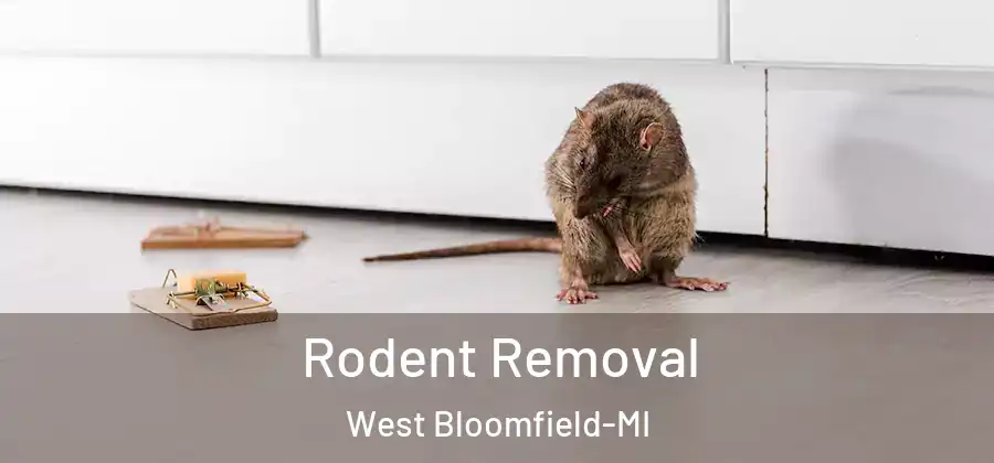  Rodent Removal West Bloomfield-MI