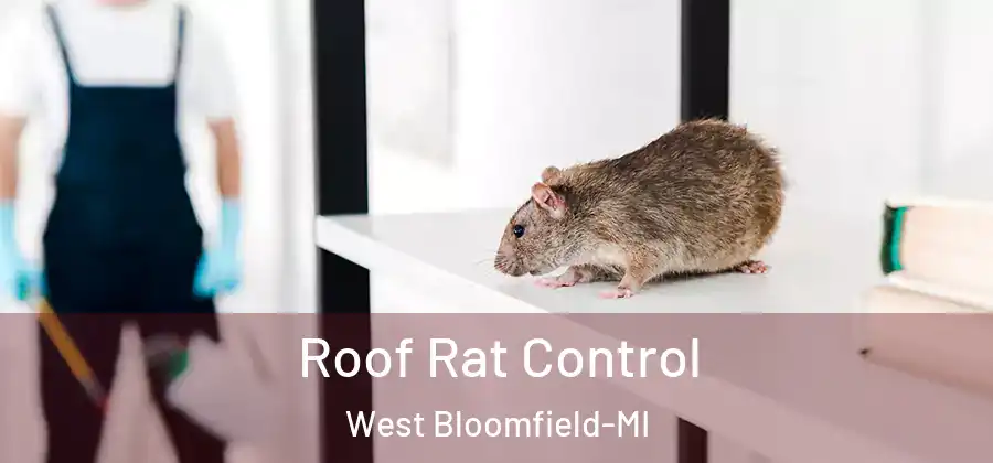 Roof Rat Control West Bloomfield-MI