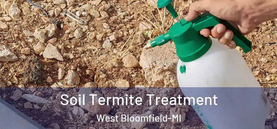 Soil Termite Treatment West Bloomfield-MI