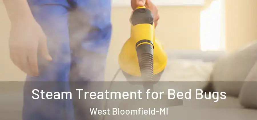 Steam Treatment for Bed Bugs West Bloomfield-MI