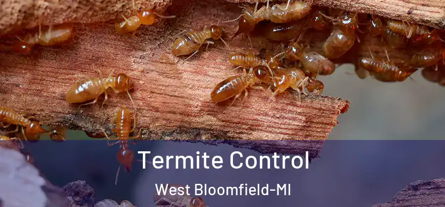 Termite Control West Bloomfield-MI