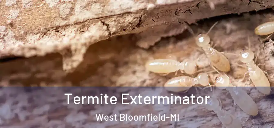 Termite Exterminator West Bloomfield-MI