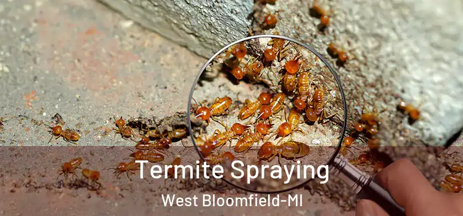 Termite Spraying West Bloomfield-MI