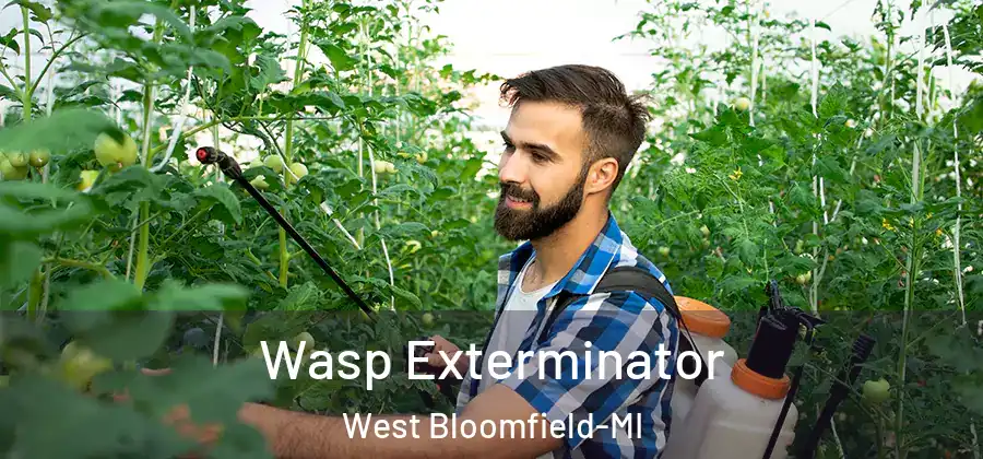 Wasp Exterminator West Bloomfield-MI