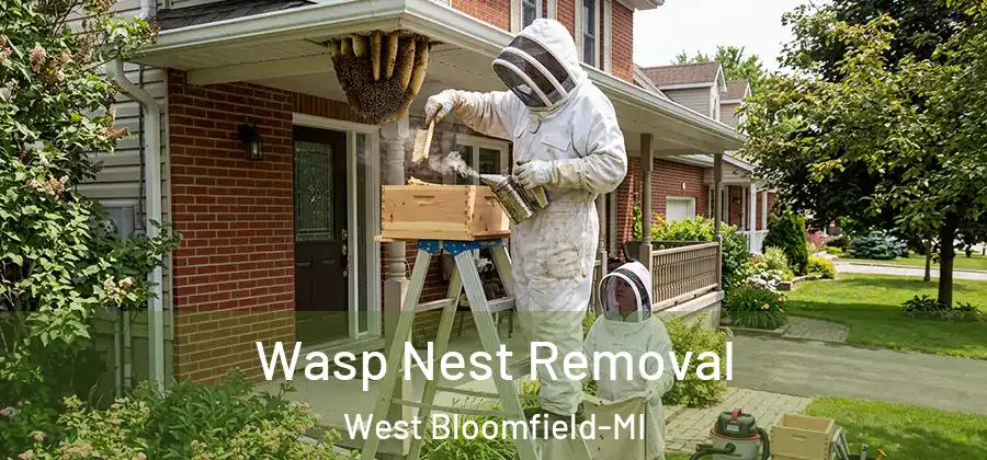  Wasp Nest Removal West Bloomfield-MI