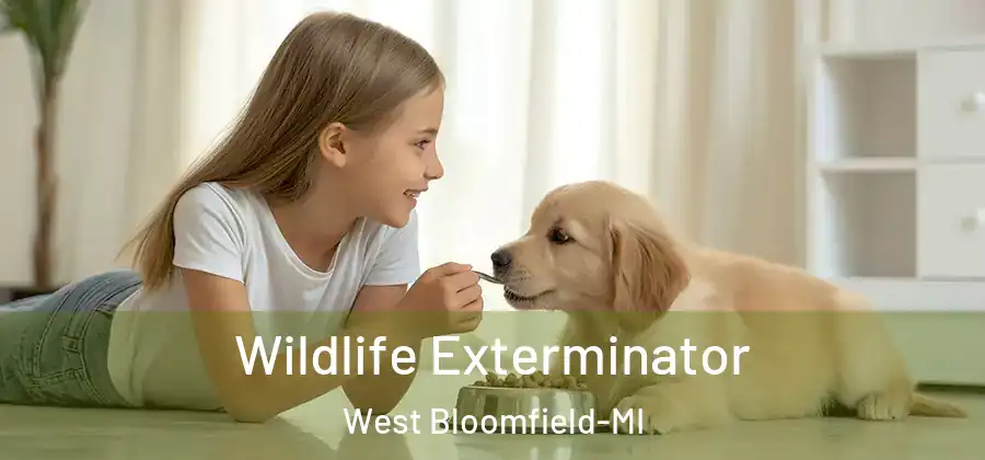  Wildlife Exterminator West Bloomfield-MI
