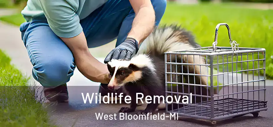 Wildlife Removal West Bloomfield-MI