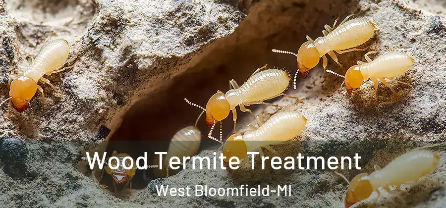 Wood Termite Treatment West Bloomfield-MI