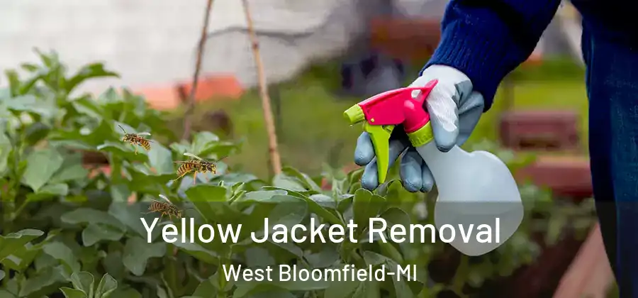 Yellow Jacket Removal West Bloomfield-MI